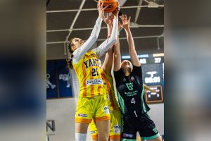 20261010 YOUNG ANGELS Košice vs. Basketbal Trenčín